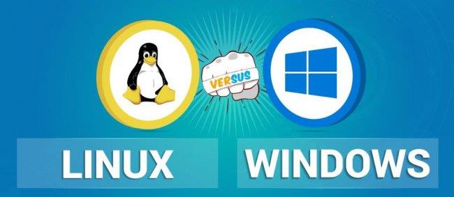 文件服务器应该选Windows还是Linux
