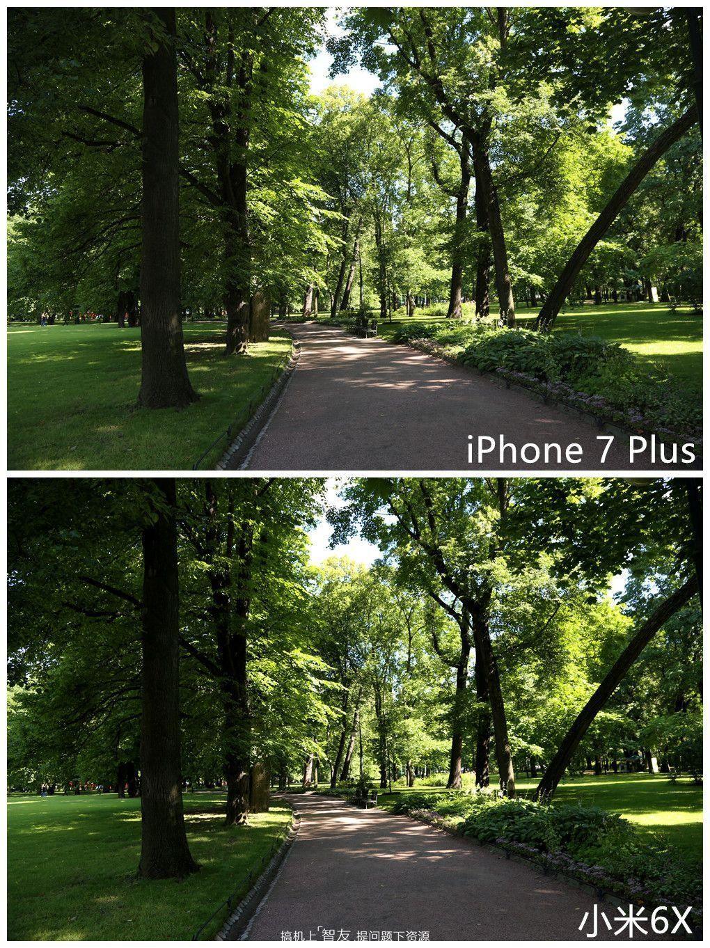 iPhone7 Plus长焦镜头拍照样张展示 苹果7Plus拍照长焦效果如何?实拍样张欣赏