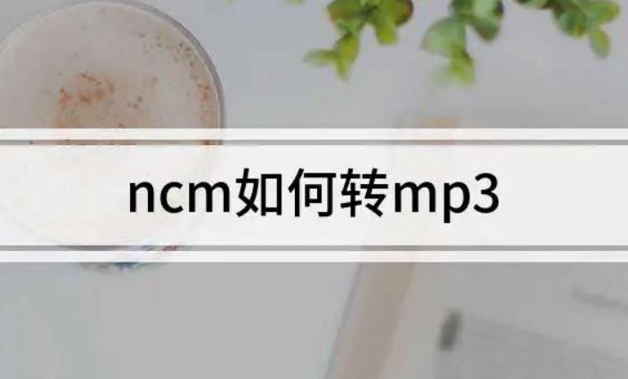 手机ncm转mp3工具免费推荐(ncm转换成mp3格式软件)