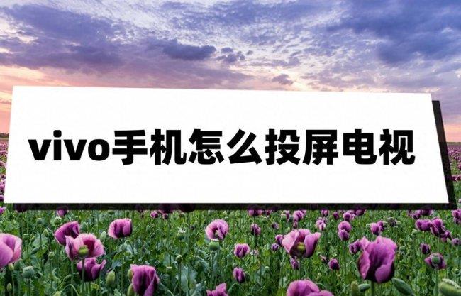 详解飞利浦电视手机投屏步骤 飞利浦电视怎么投屏vivo手机