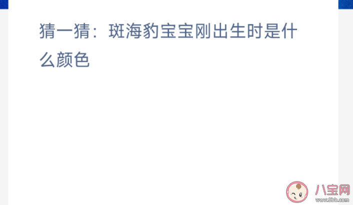 猜一猜斑海豹宝宝刚出生时是什么颜色(神奇海洋11月16日答案)