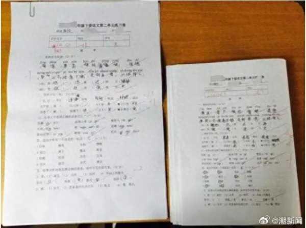 儿子写字慢妈妈申请换教材学校同意