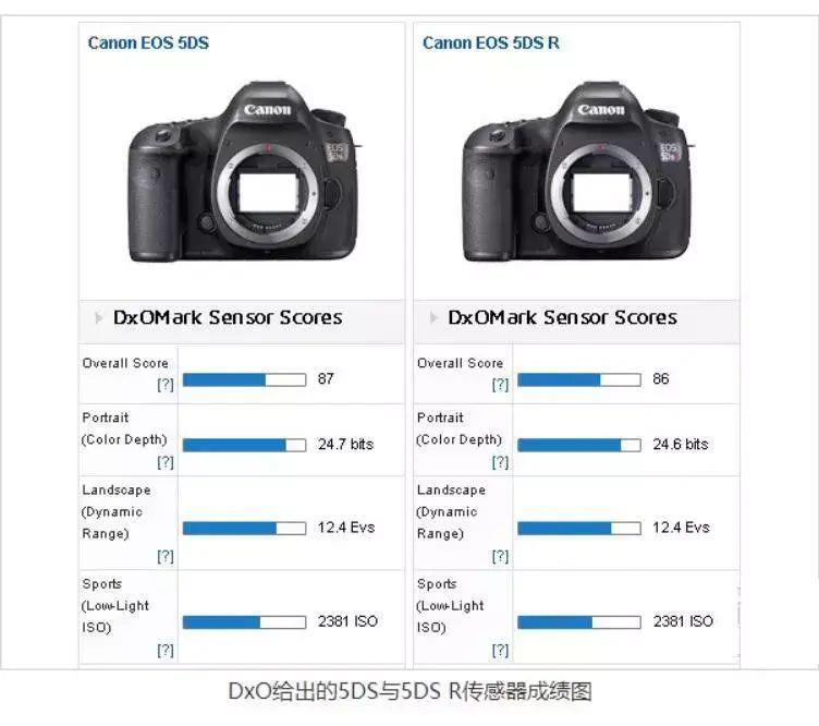 佳能5ds和5d4哪个好(女生用的微单相机哪款好)