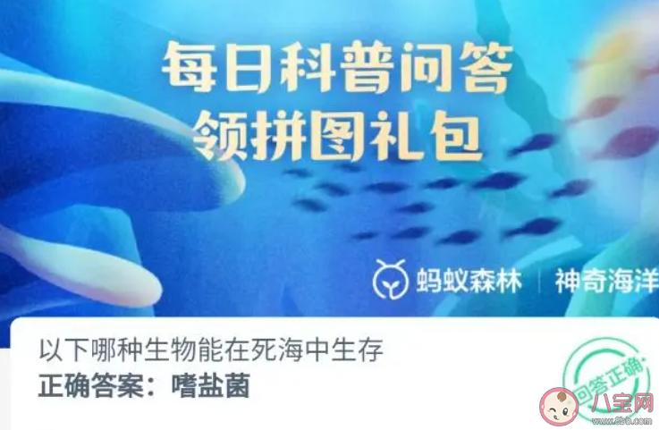 以下哪种生物能在死海中生存(神奇海洋11月22日答案)