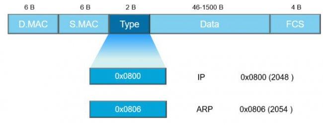 以太网帧类型有哪些(常见的以太网帧类型有哪些？)