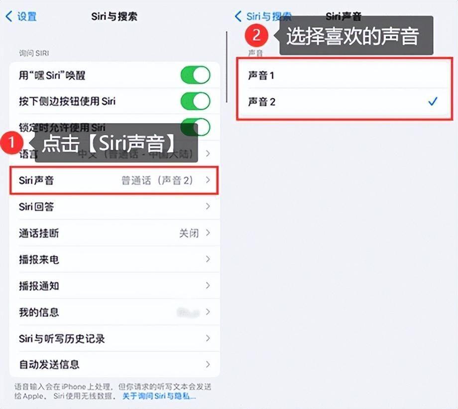 siri的设置在哪里开启(苹果手机智能语音怎么重新设置主人声音)