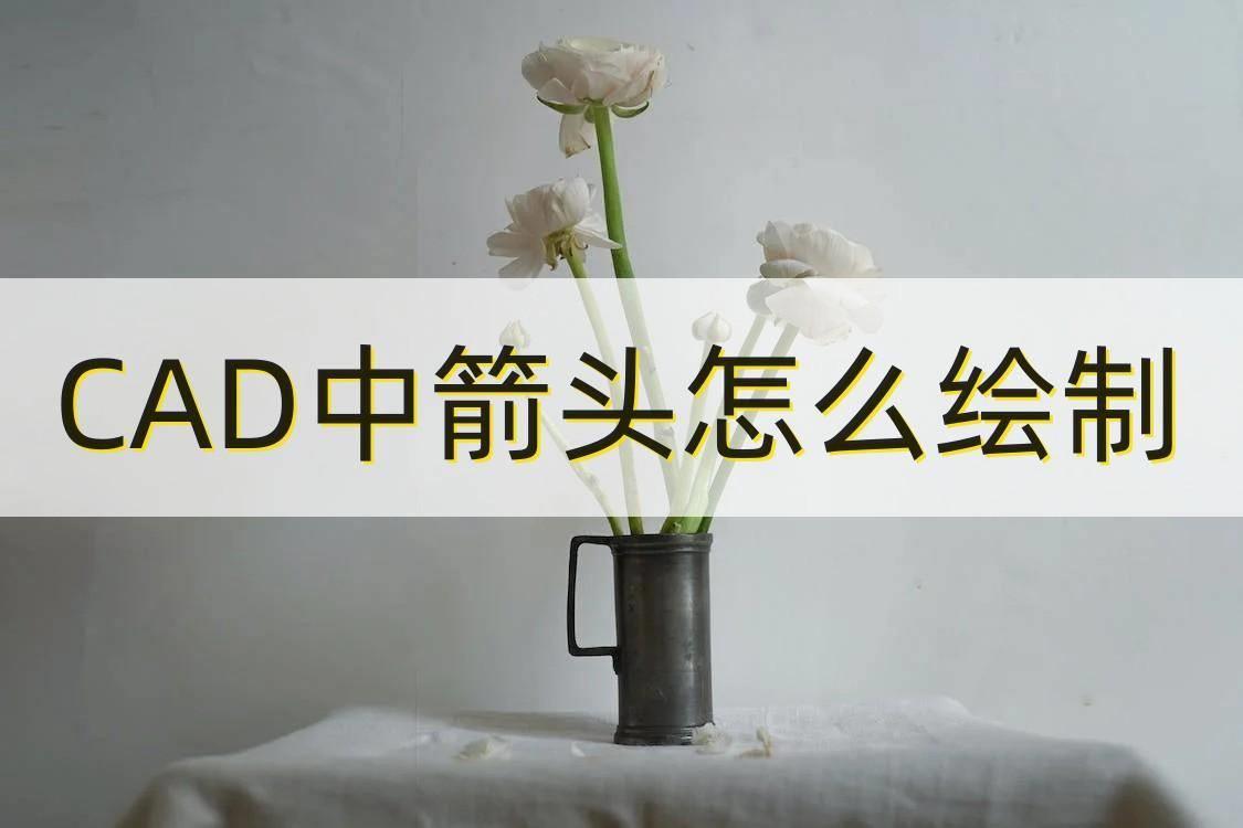 cad标注单向箭头的画法(cad箭头线怎么画)