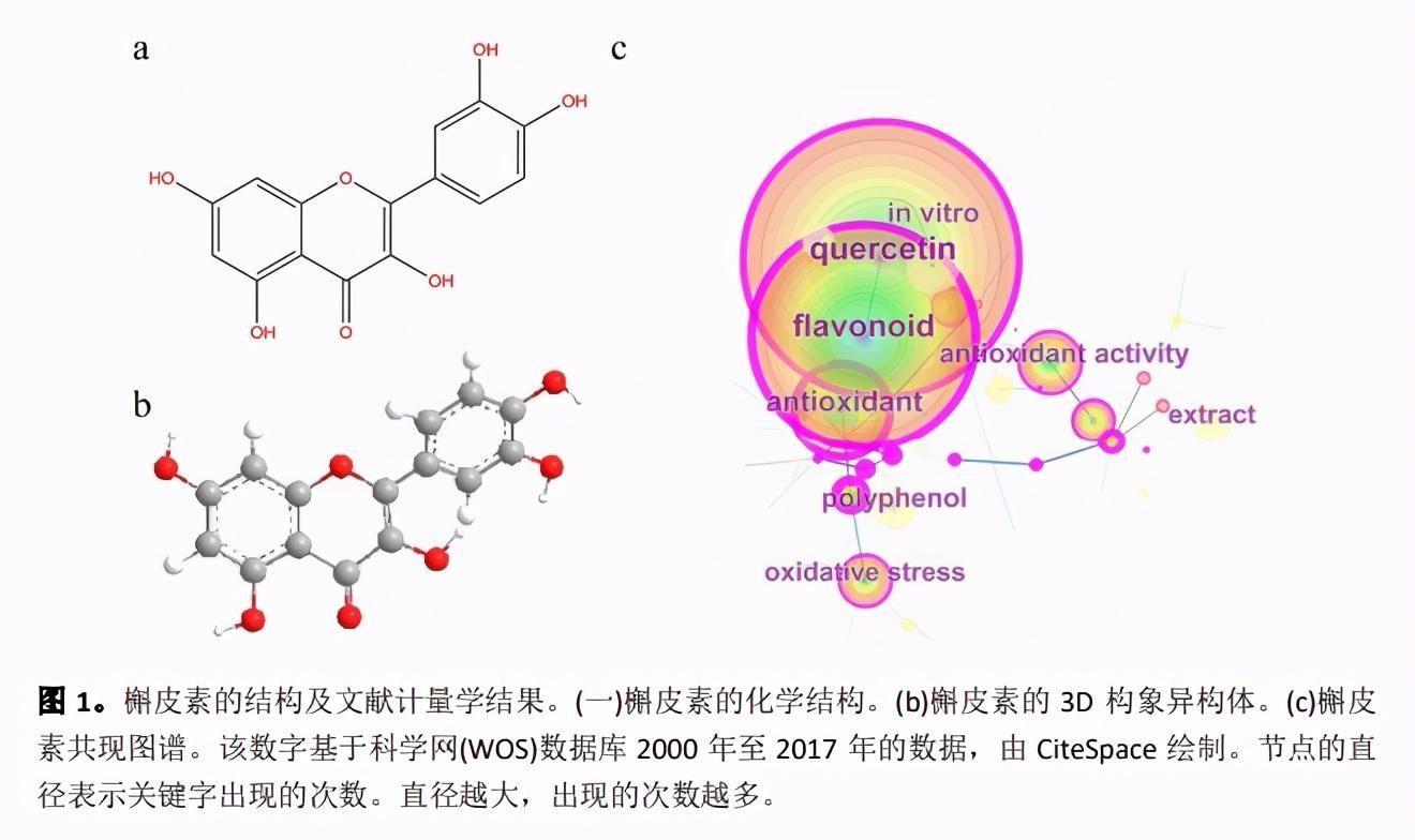 搜狗翻译在线翻译入口(好用的免费翻译软件)