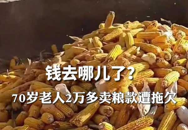 70岁老人2万多元卖粮款遭拖欠