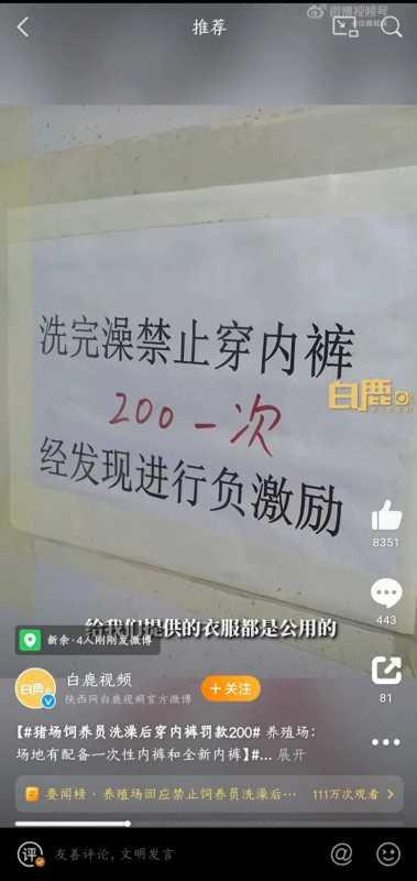 猪场饲养员洗澡后穿内裤罚款200