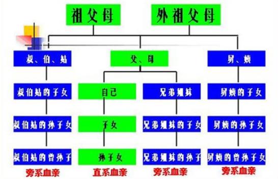 表兄妹是什么亲属关系(表兄妹算三代还是四代)