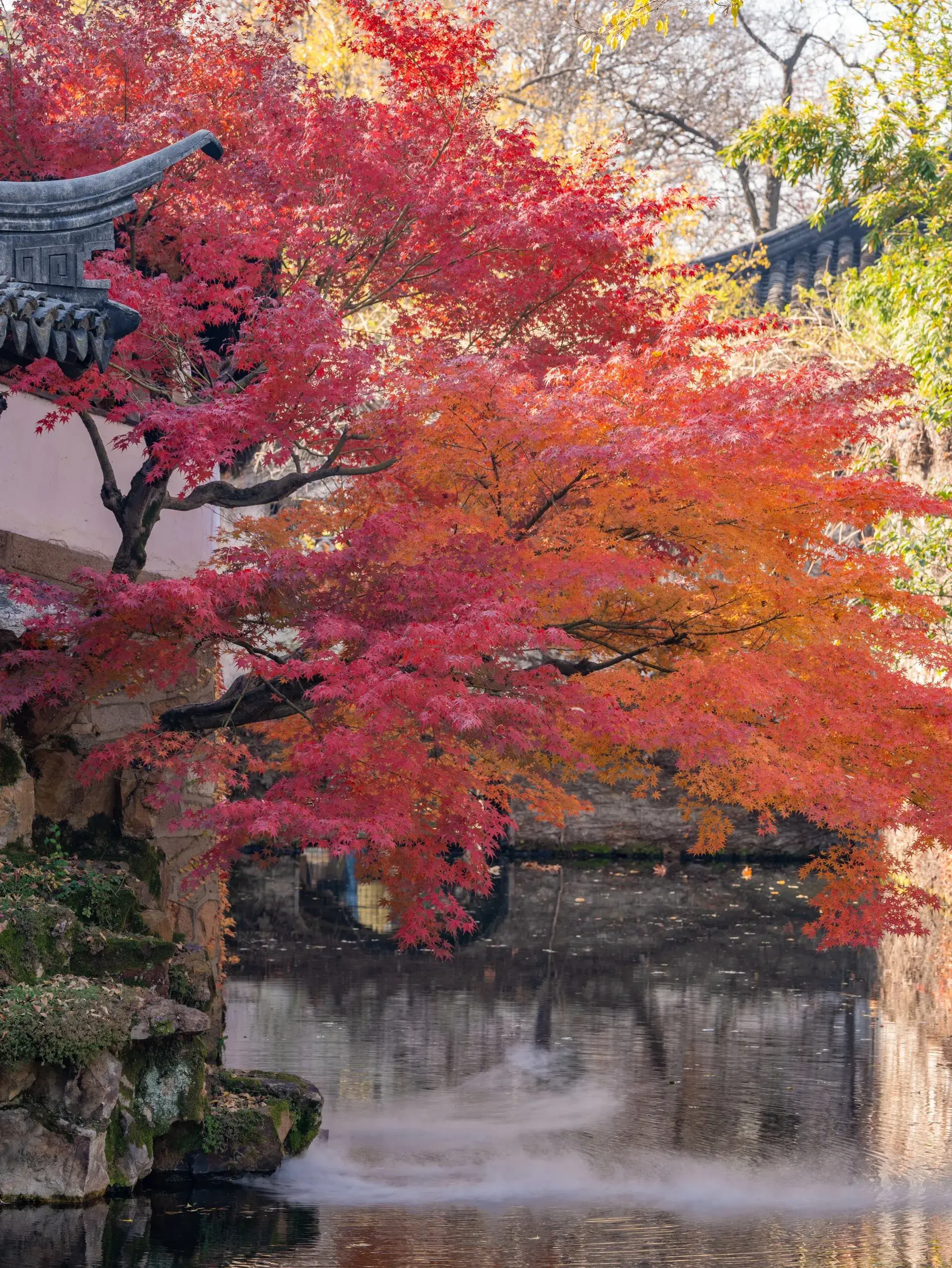 苏州旅游攻略介绍(苏州旅行两天一夜最全攻略)