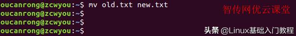 linux常用命令大全(linux给文件改名字的命令)