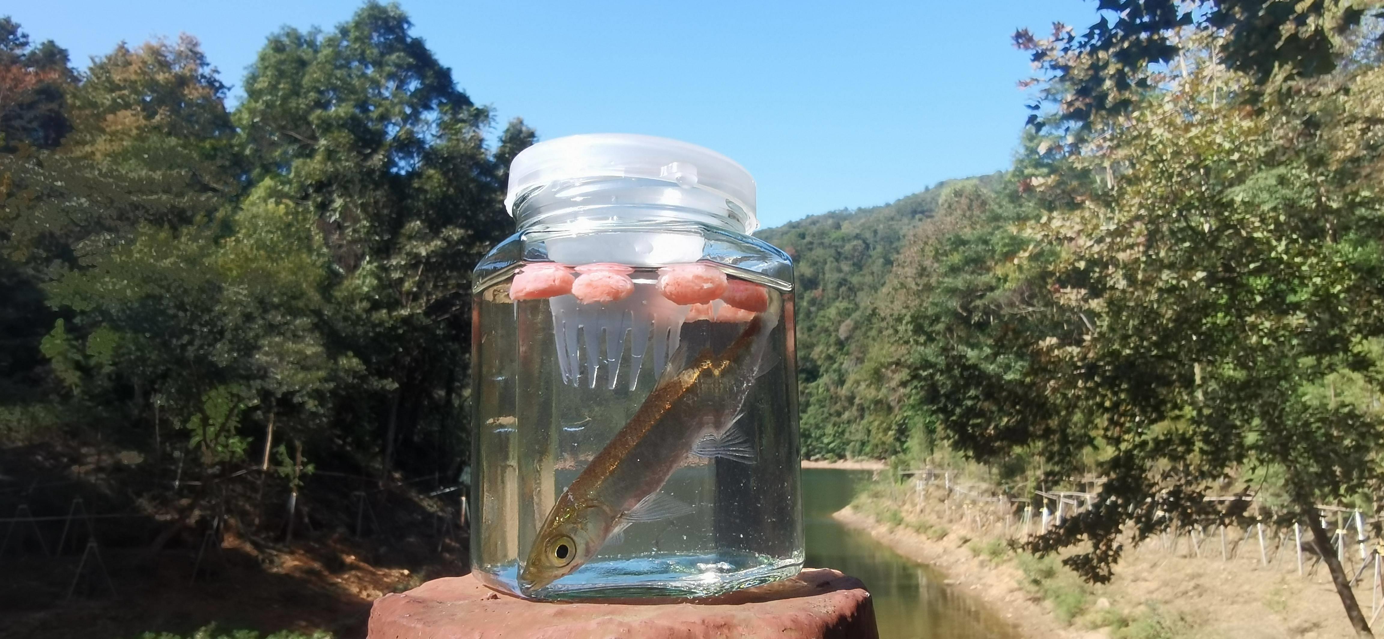 黑龙江有哪些景区(黑龙江十大必玩景点)