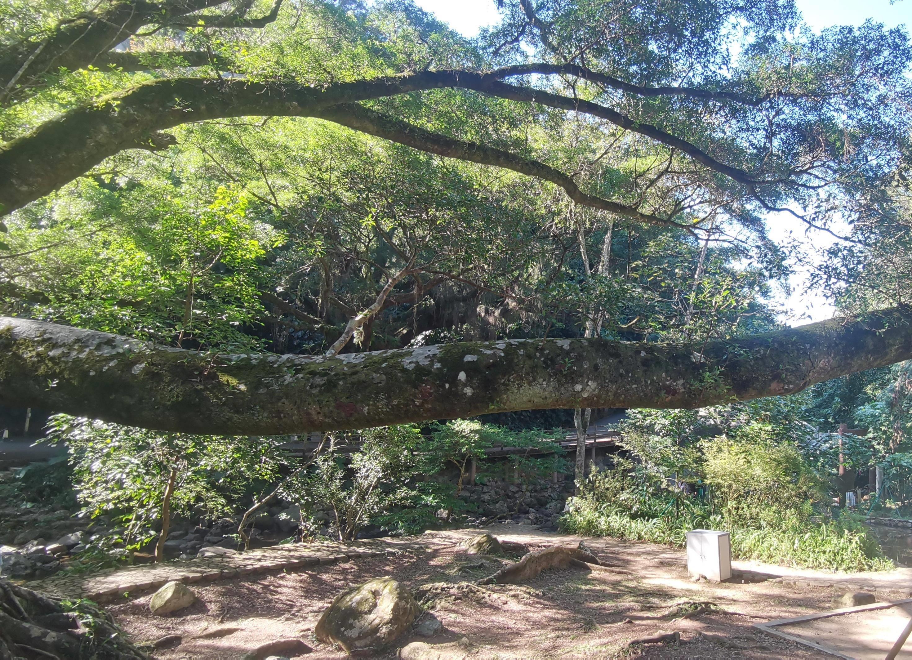 黑龙江有哪些景区(黑龙江十大必玩景点)