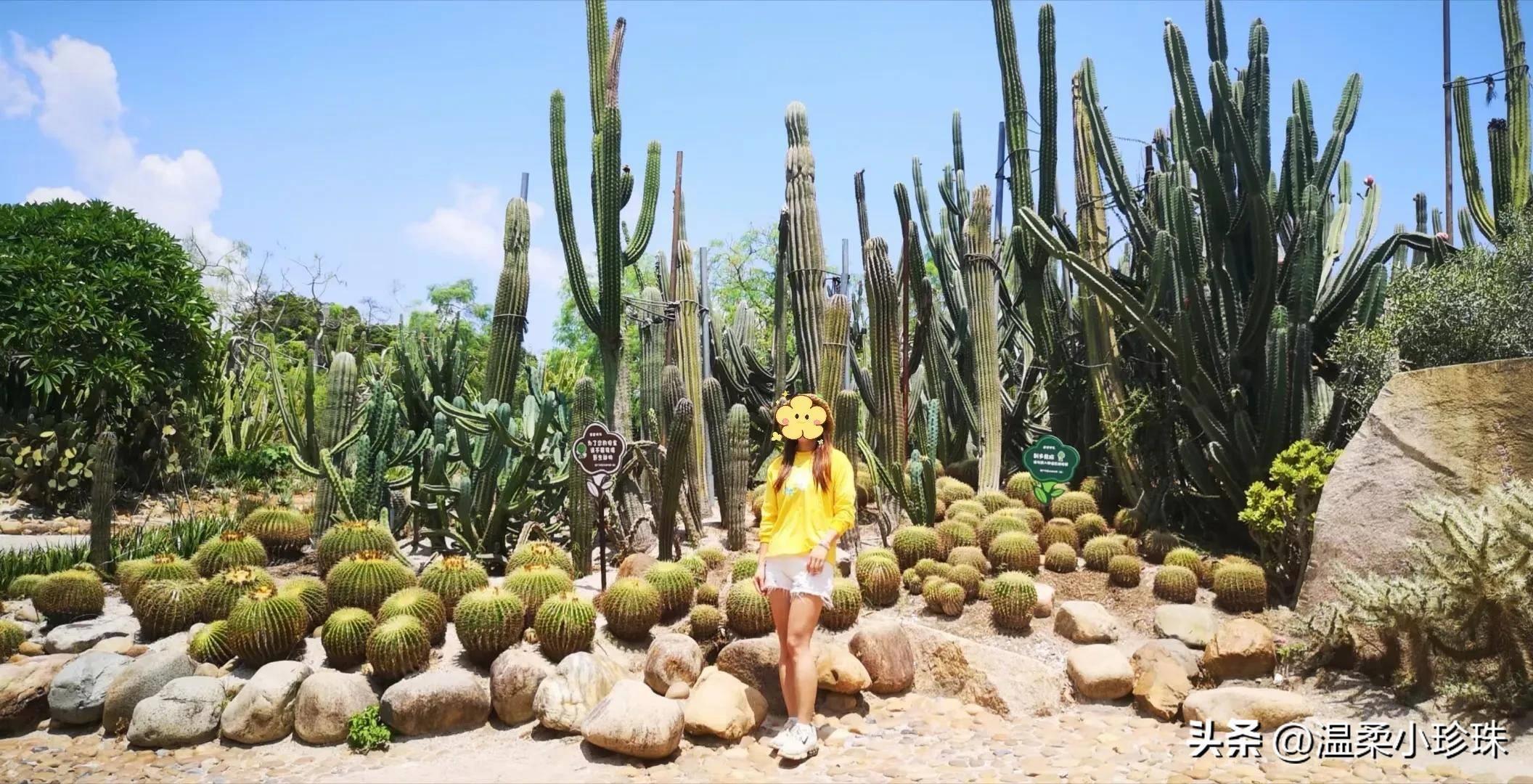 厦门植物园攻略必逛景点 厦门旅游攻略分享