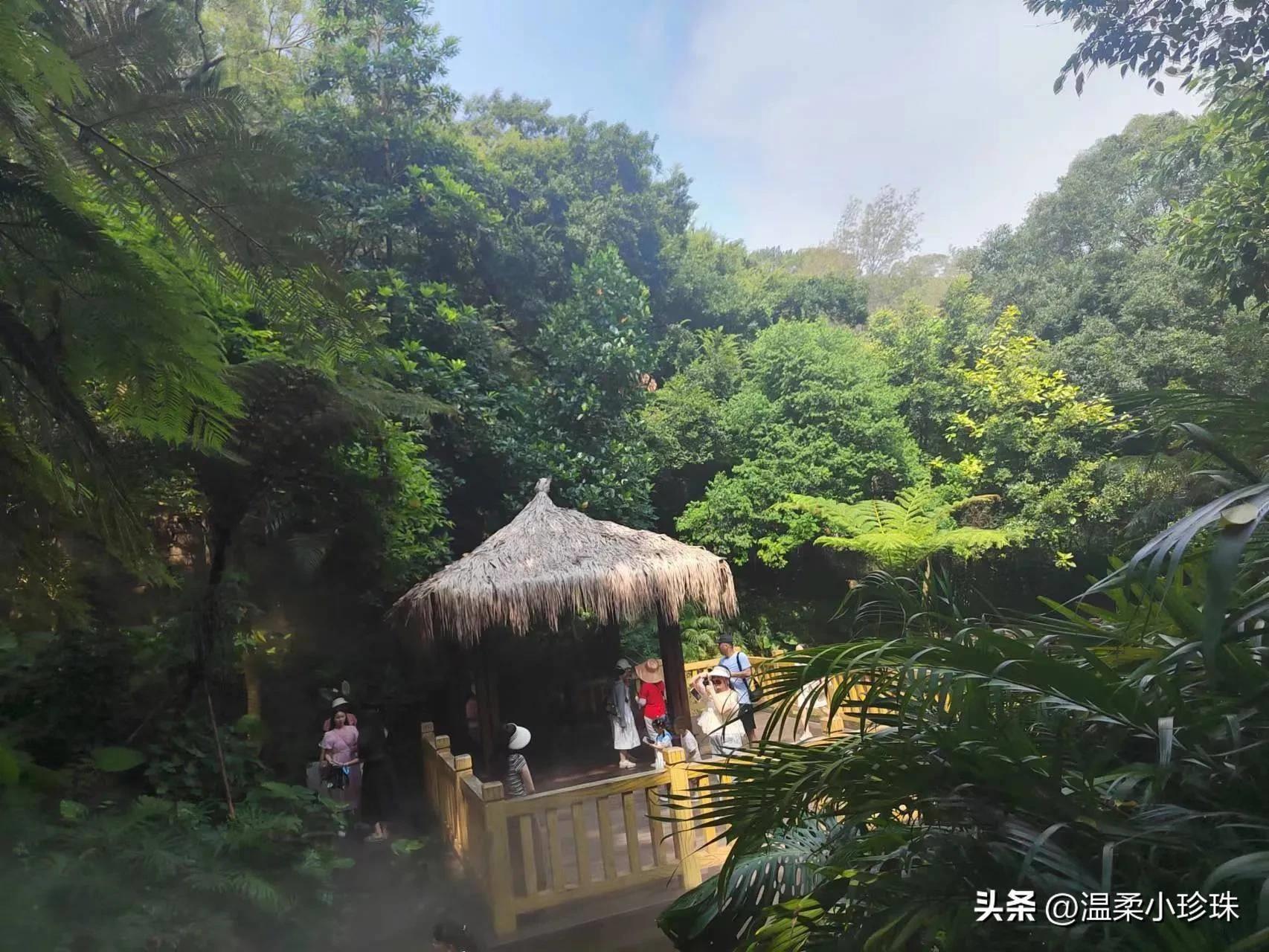 厦门植物园攻略必逛景点 厦门旅游攻略分享