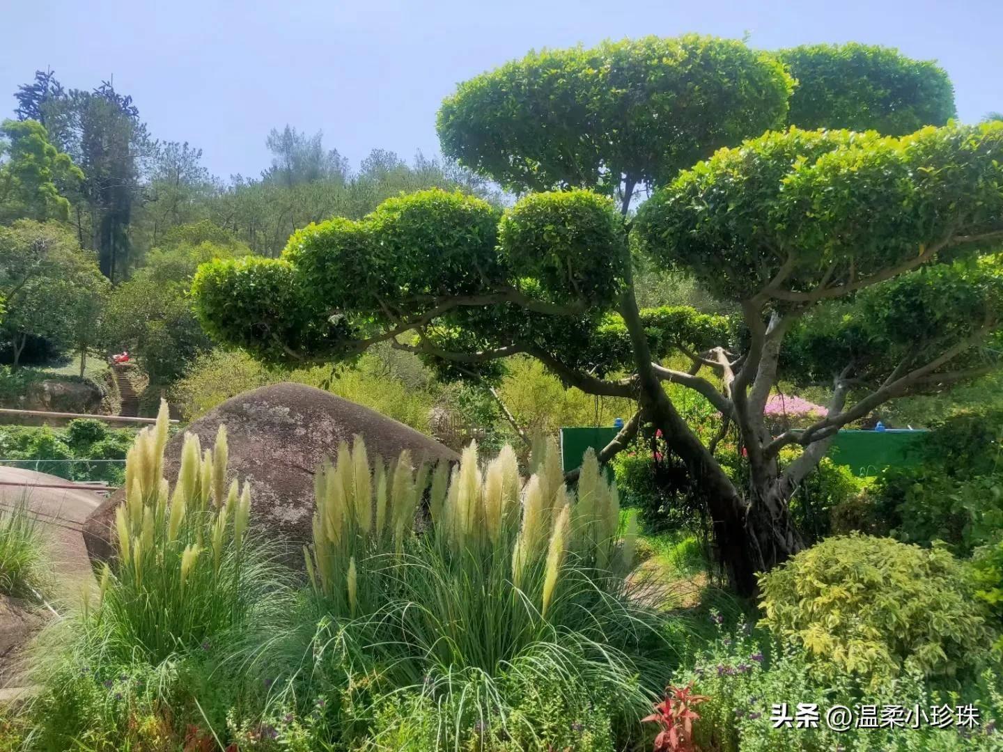 厦门植物园攻略必逛景点 厦门旅游攻略分享