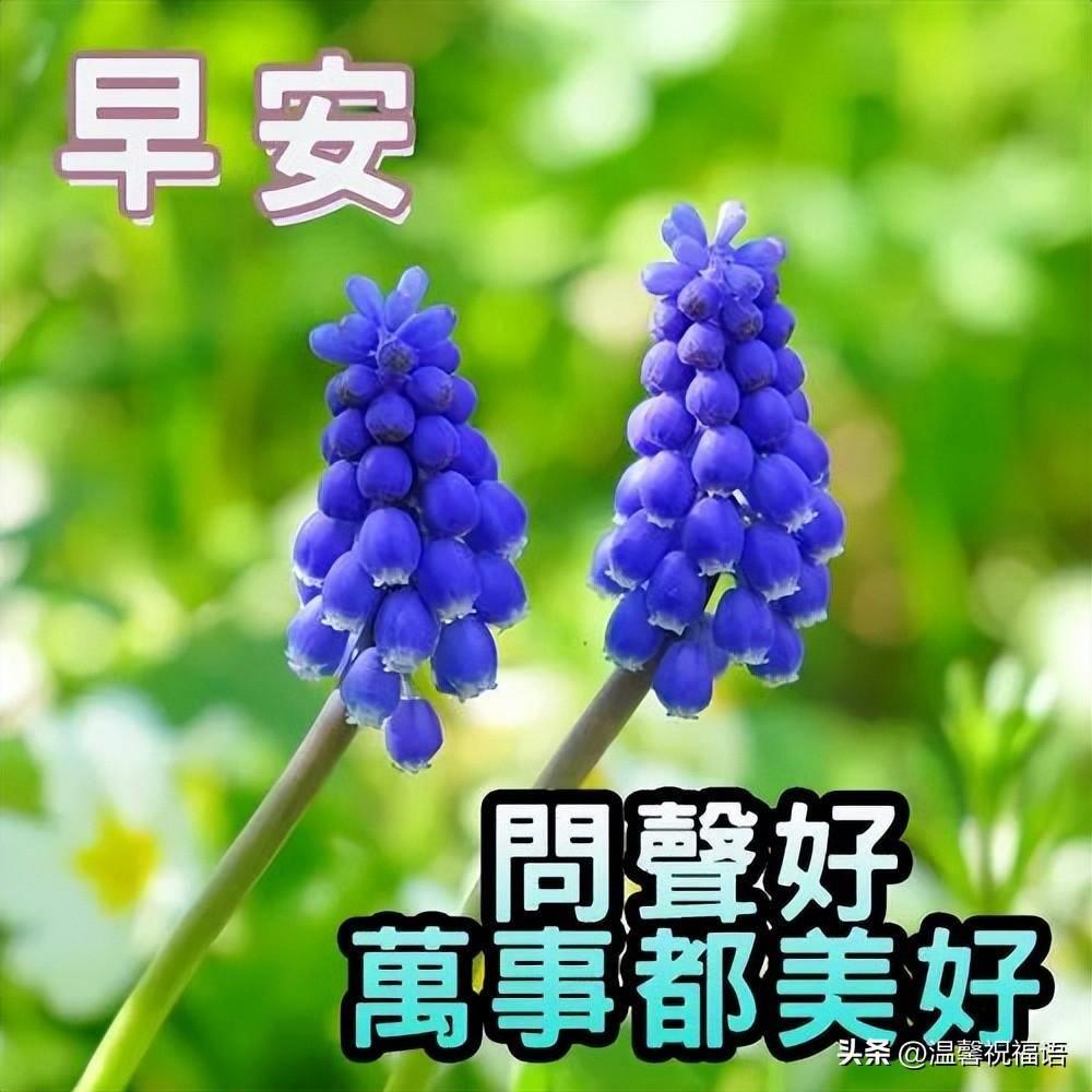 美好祝愿的简短句子(祝福朋友的短信怎么发)