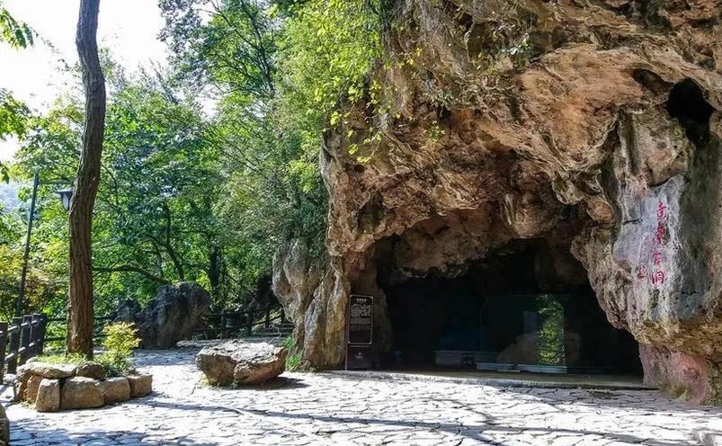 南京旅游景点介绍一下 南京旅游攻略三日游最佳路线