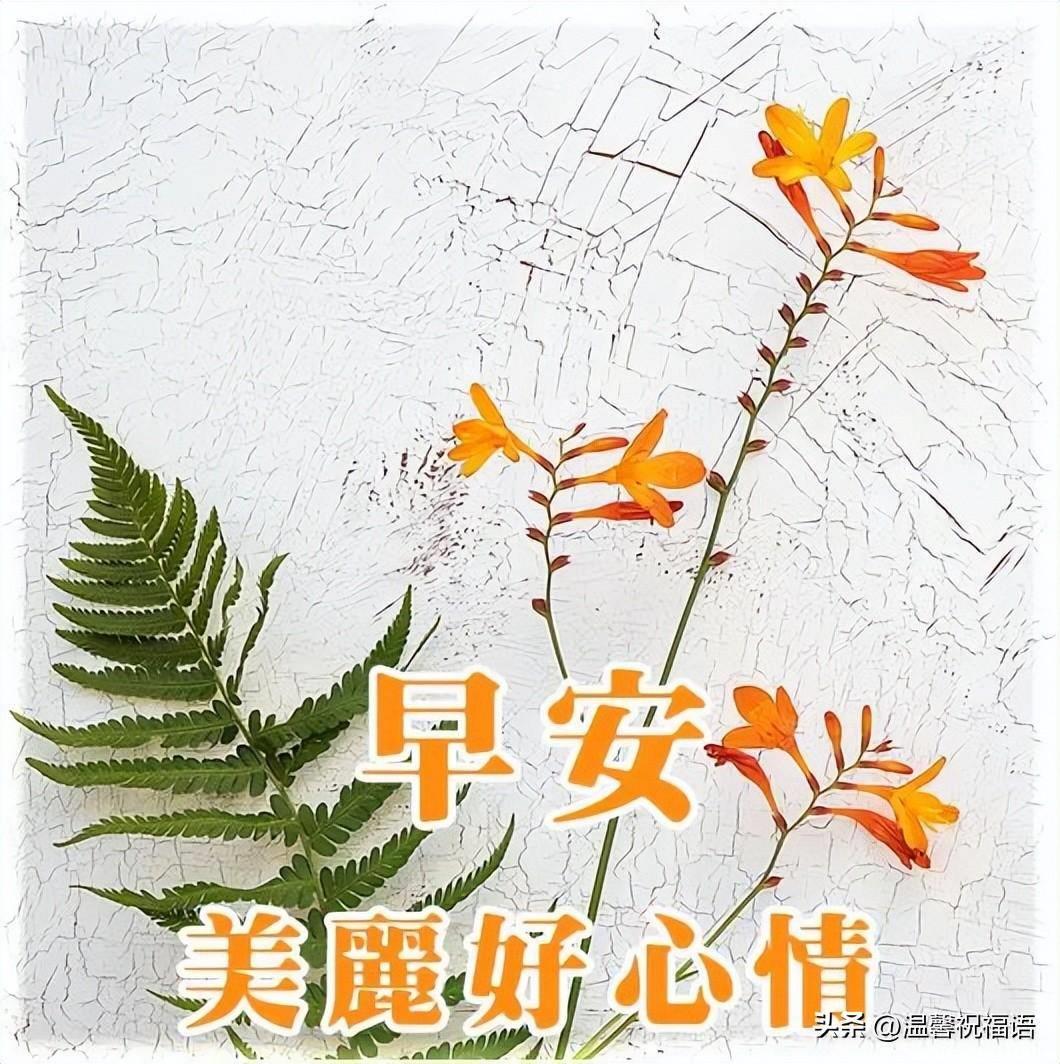 有深度有涵养的祝福句子(祝福朋友的话语唯美)