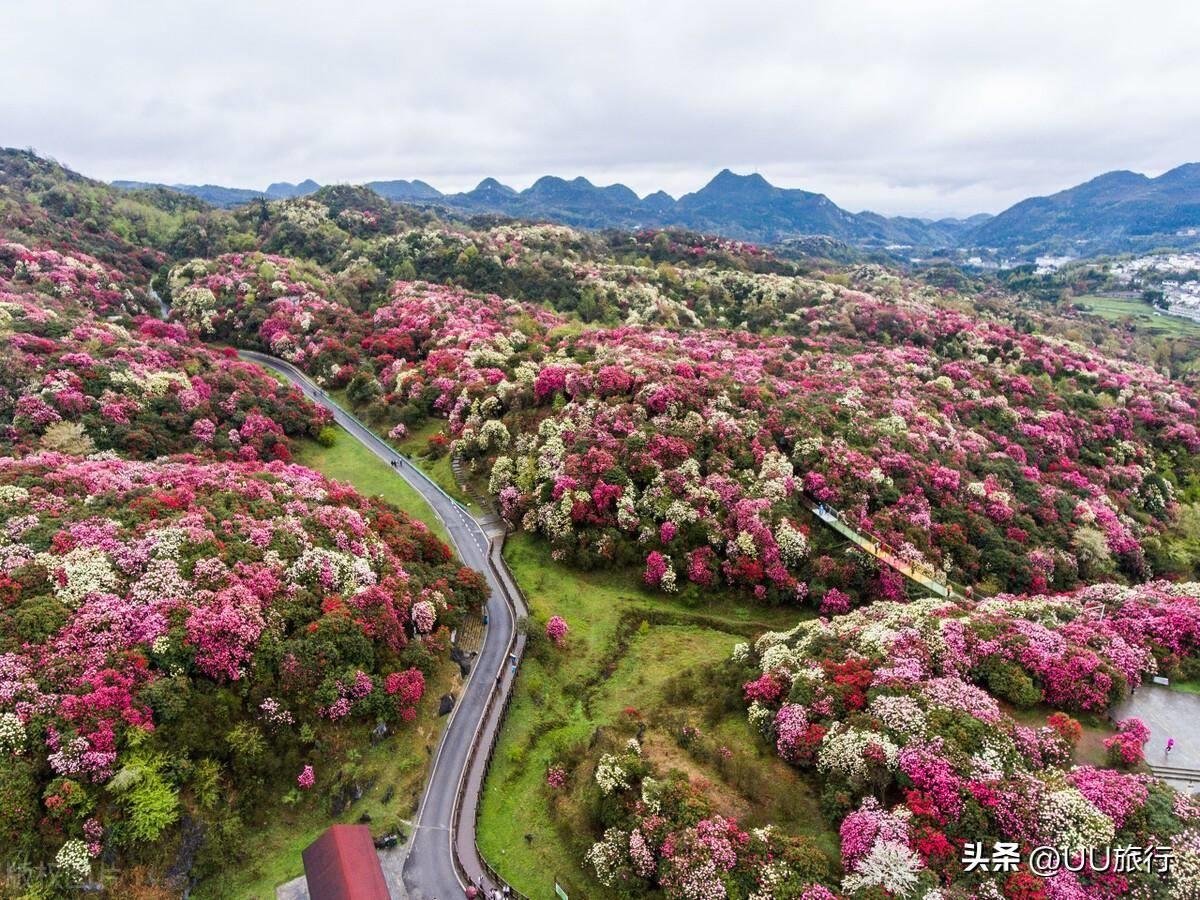 四月份旅游地最佳推荐 4月旅游国内最佳去处