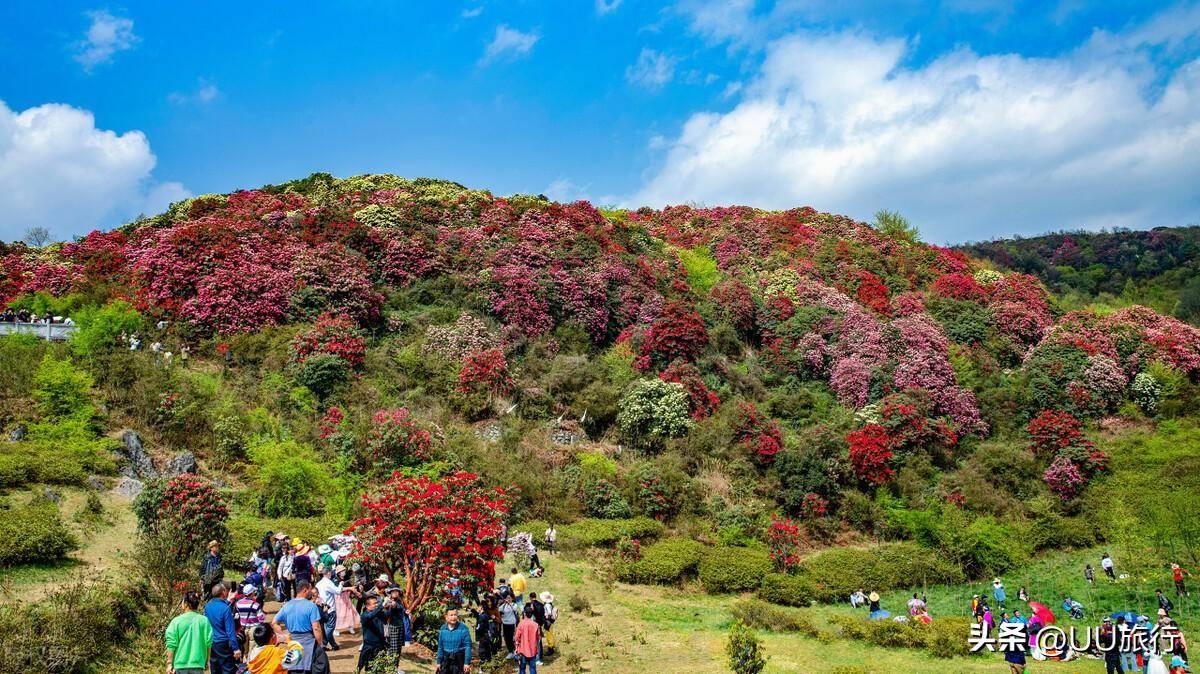 四月份旅游地最佳推荐 4月旅游国内最佳去处