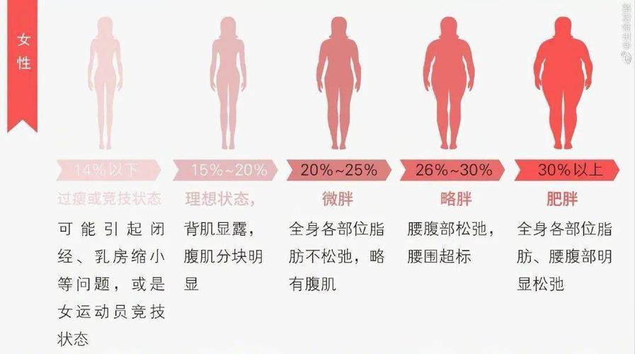 体脂率在30女生算胖吗(体脂率30%什么概念女性bmi)