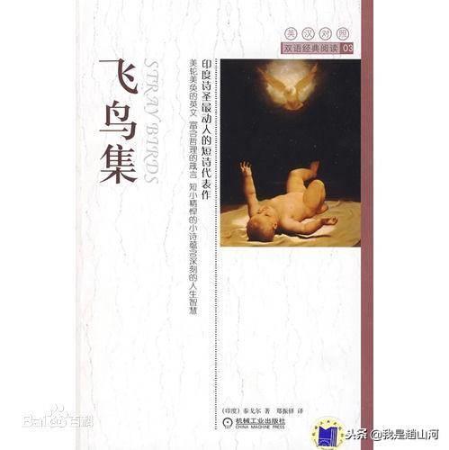 泰戈尔经典作品欣赏(泰戈尔诗集有哪些作品)