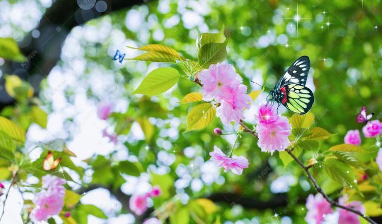 痘痘结节硬块怎么消除(痘痘变成硬硬的鼓包怎么去除)