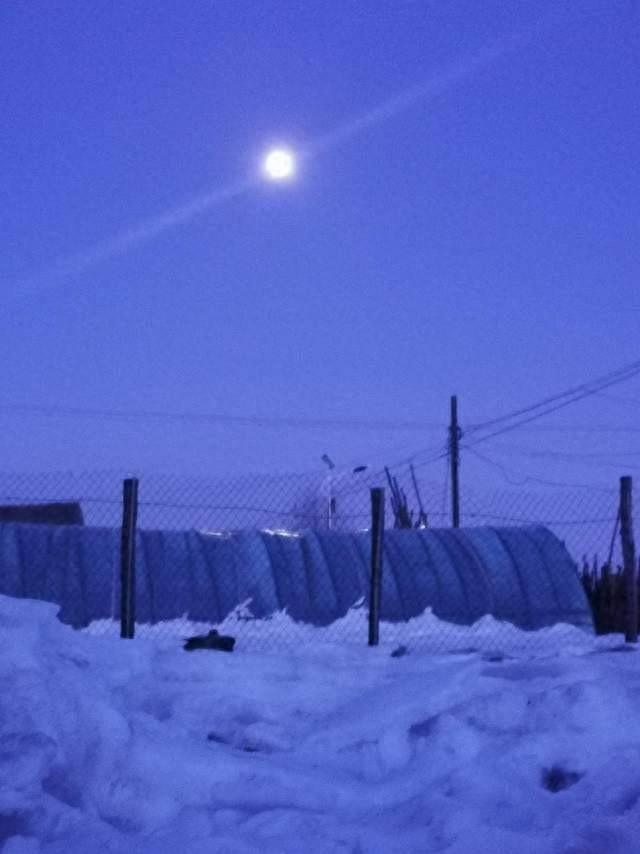 十首著名的雪景诗句(写雪的诗句古诗大全)