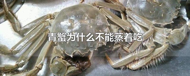 青蟹的10种最佳吃法(青蟹为什么不能蒸着吃的原因)