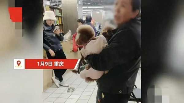 狗狗乱尿店员提醒 主人:给狗道歉