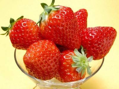 草莓怎么种植(草莓的种植方法介绍)