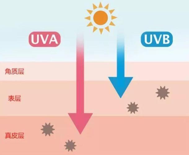 uva和uvb分别代表什么爬宠