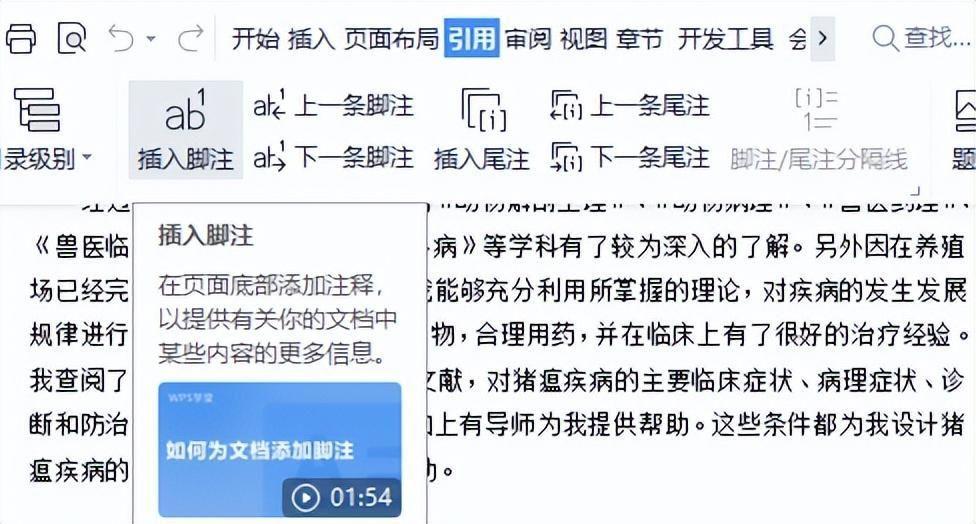 脚注格式怎么设置(论文脚注怎么标注)