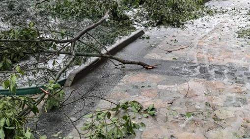 冻雨路面会结冰吗(冻雨路面如何安全驾驶)