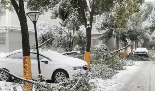 自驾回乡遇大雪 有私家车被临时抛弃，自驾回乡遇大雪有私家车被临时抛弃