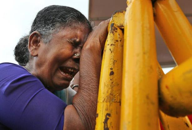 印度女星为假死道歉，印度泰米尔纳德邦政党称已有近300名支持者相继自杀