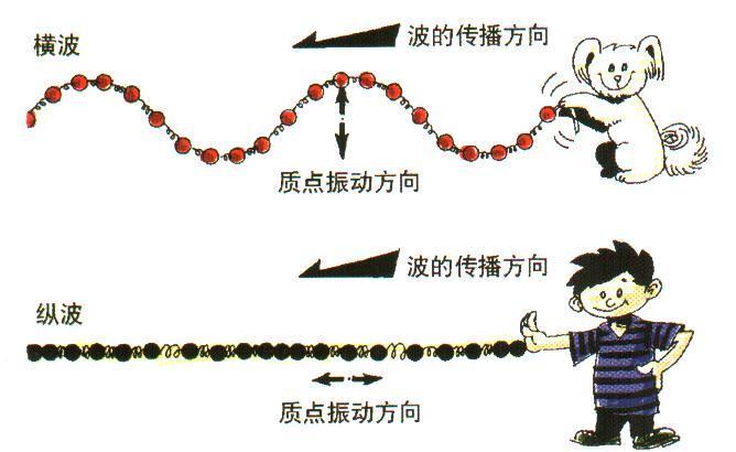 横波和纵波的区别地理?地震波横波和纵波哪个破坏力更大?