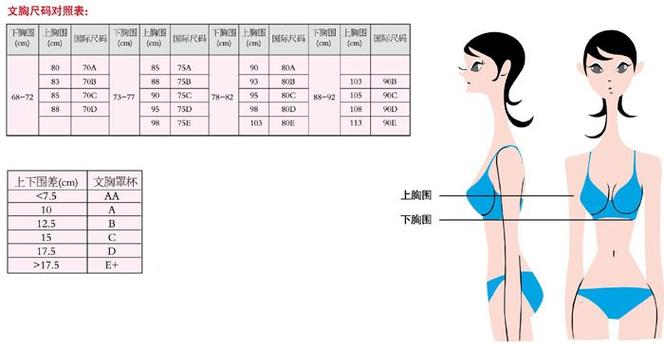 怎么判断胸的ABCD尺寸数据(女生罩杯尺码表对照表)