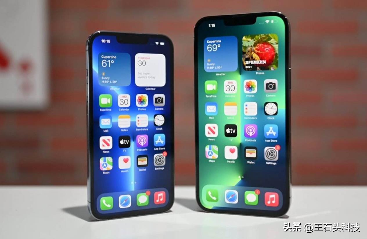 iphoneplus是什么意思和pro的区别(尺寸和promax的区别)