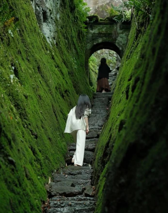 福建的旅游景点推荐（福建最值得去的8个地方）