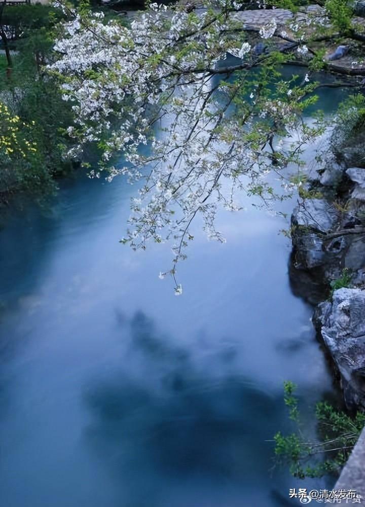 一些花的别称或雅称 梨花古风雅称是什么