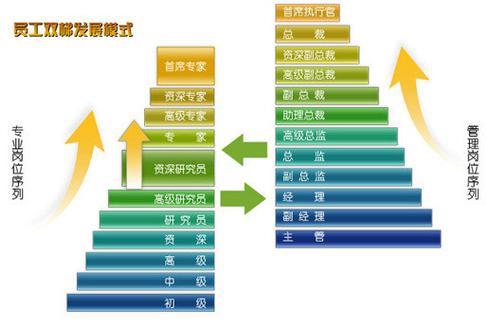 cso是什么职位什么工作?全称首席问题官?