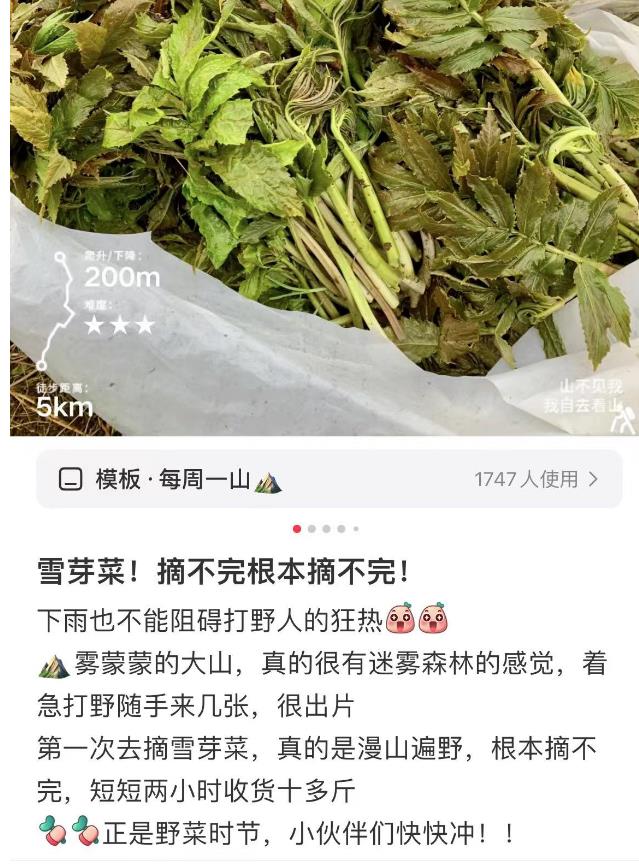 扫墓回来后,一家6口集体中毒！这事警惕,警惕,再警惕！