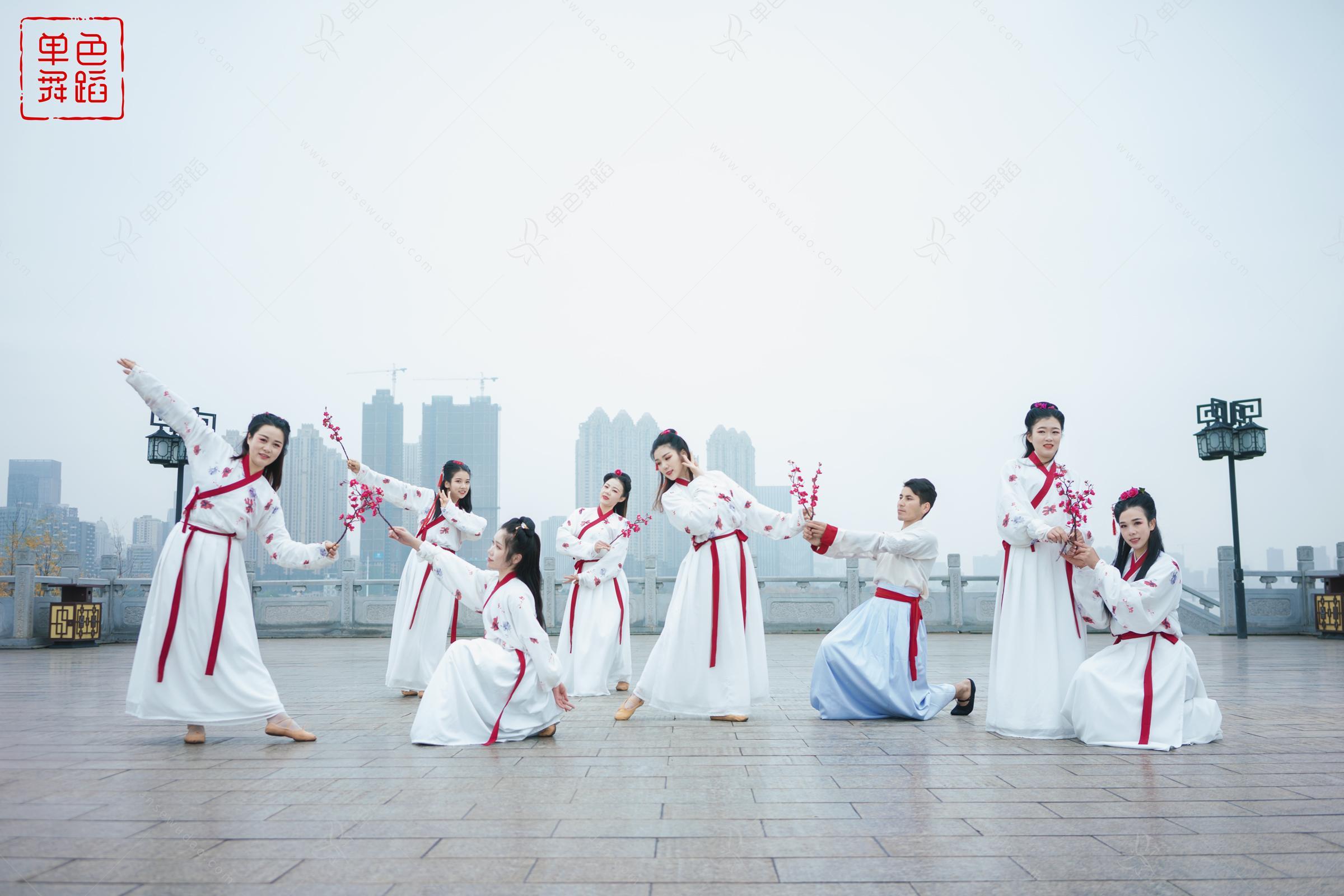 中国舞各大姿势盘点与技巧教学（舞蹈知识讲解大全）