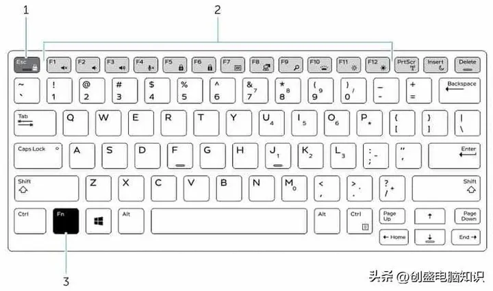 笔记本电脑数字键打不出数字？电脑数字键不能用的恢复方法