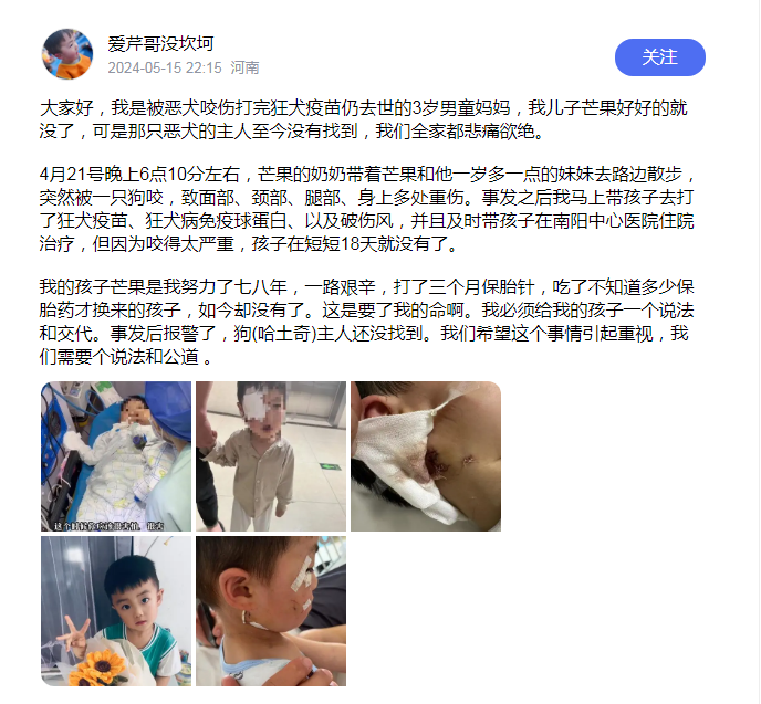 男童狂犬病免疫失败 母亲回应,河南3岁男童被狗咬伤18天后离世母亲再发声