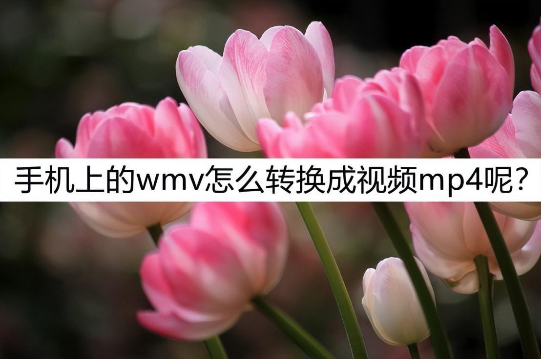 wmv是什么格式的文件及怎么打开（手机打开wmv的软件）-趣考网